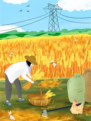 认回亲哥后，嫌我是孤儿的前男友后悔了林苒苒顾景昭最新免费小说_免费完本小说认回亲哥后，嫌我是孤儿的前男友后悔了林苒苒顾景昭